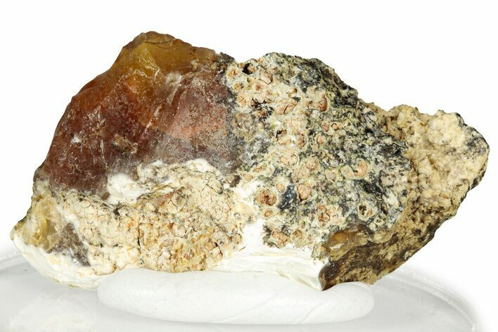 Rough Oregon Fire Opal #330561